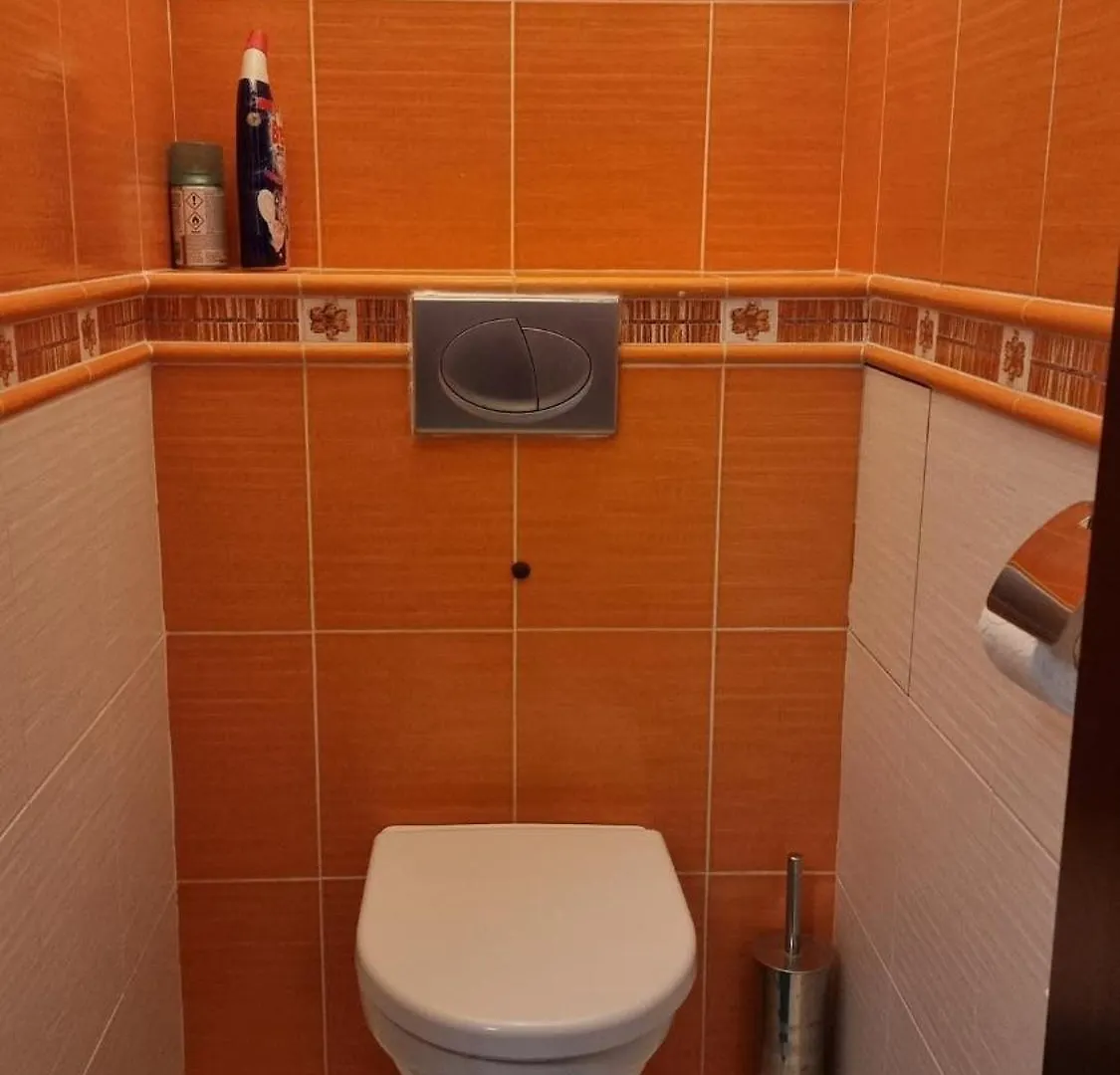 Spacious Two-Room Apartment In Prague 0*,